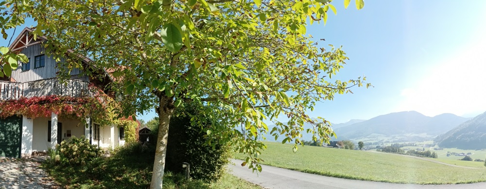 Standort Altmünster am Traunsee (Nebenstelle)